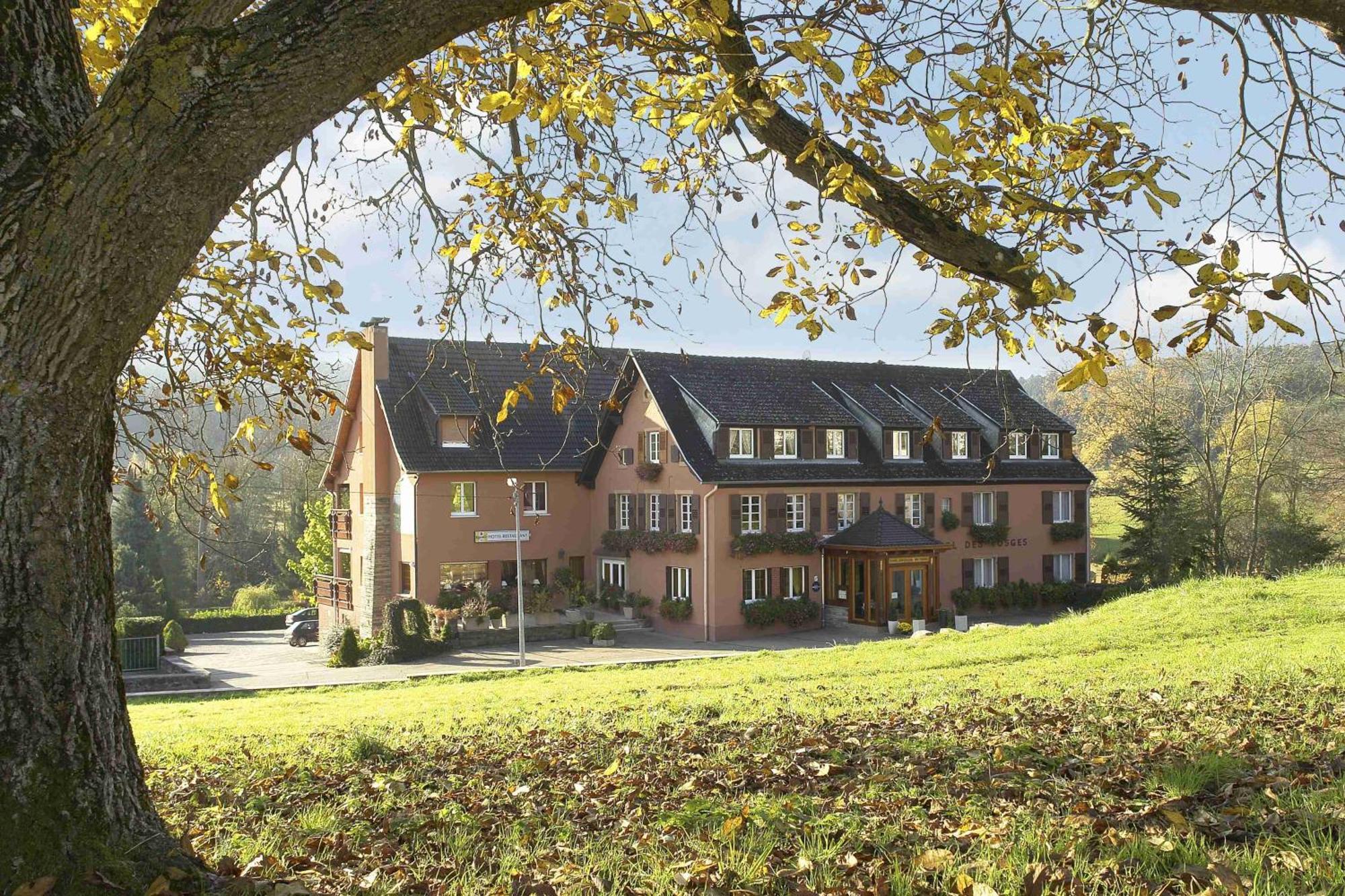Hotel Restaurant Des Vosges Birkenwald Buitenkant foto