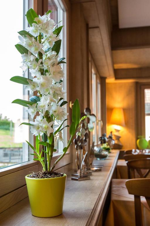 Hotel Restaurant Des Vosges Birkenwald Buitenkant foto